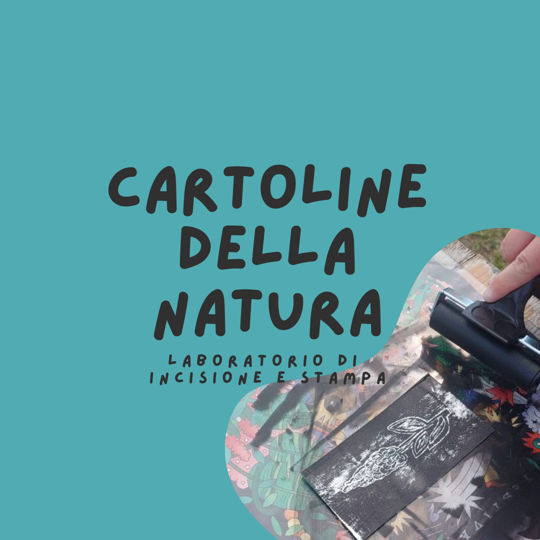 Cartoline dalla Natura 🖌